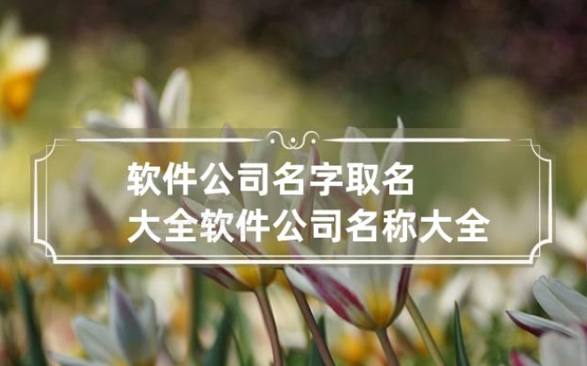 南昌软件公司名叫什么好听易记